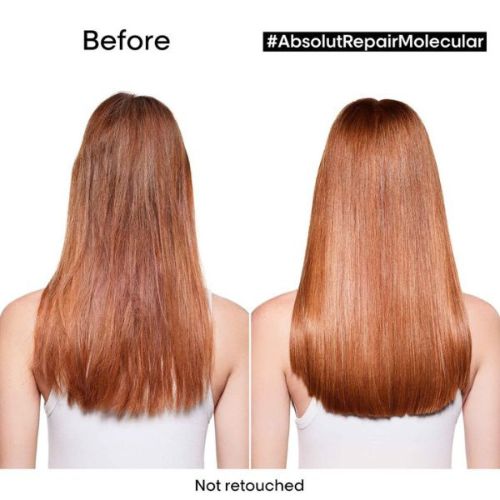 Absolut Repair Molecular Leave-In Mask